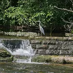 The Potters Rest At Eamont Park