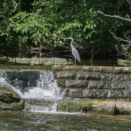 The Potters Rest At Eamont Park